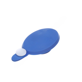 BW  802067 DUST CAP