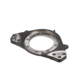 BW  802295 TORQUE PLATE