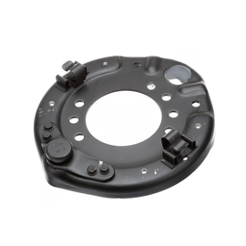 BW  812456 SPIDER AND PIN AY
