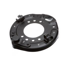BW  812457 SPIDER AND PIN AY