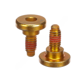 BW  H5010 SOCKET HEAD SCREW 1 EA = 2 SCREWS