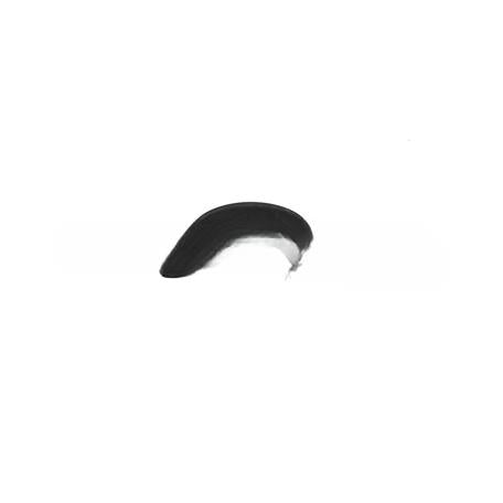 C81-6001 Spring AssyLink