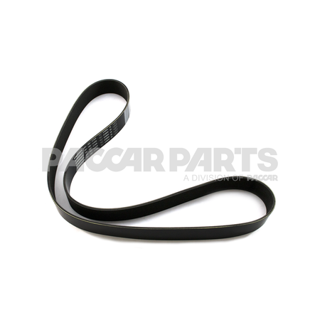D84-1002-121640 BeltEngine 12 Rib 1640Mm