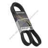 DCO 5080622 V-RIBBED BELT