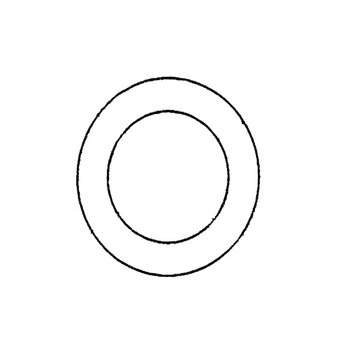 DDE 23527385 SEAL RINGP