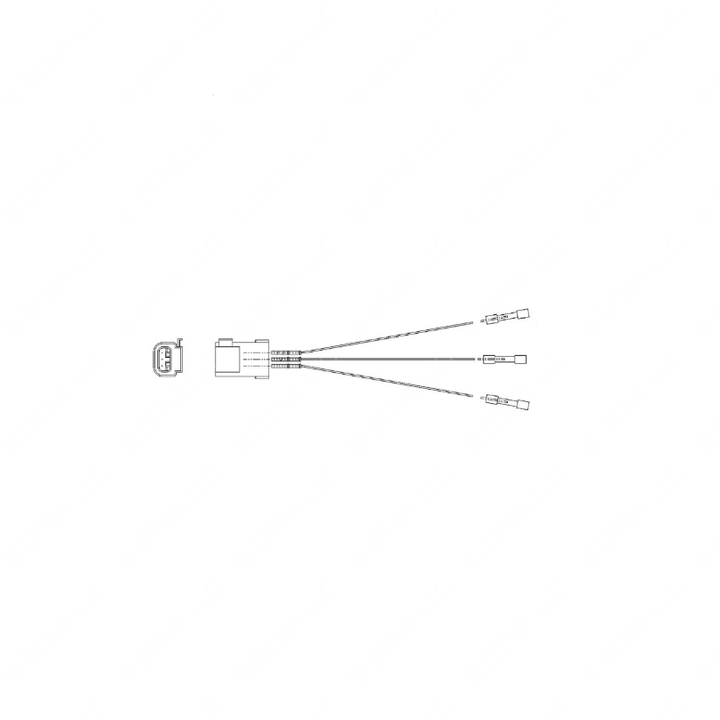 DDE 23528279 M--CONNREPKTP