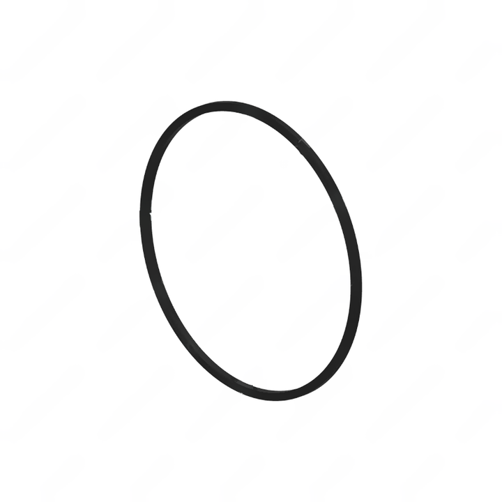DDE 23550416 SEAL RING