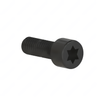 DDE A0099909804 M6 TORX BOLT