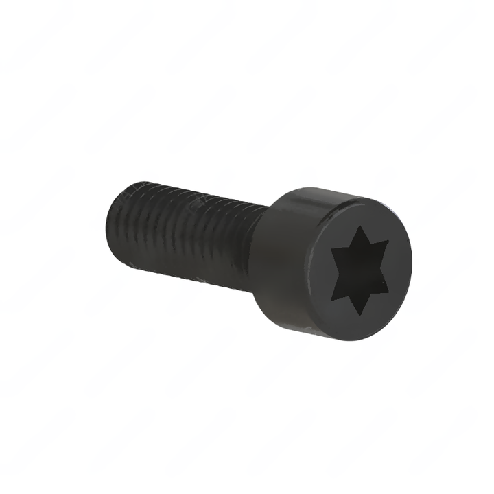DDE A0099909804 M6 TORX BOLT