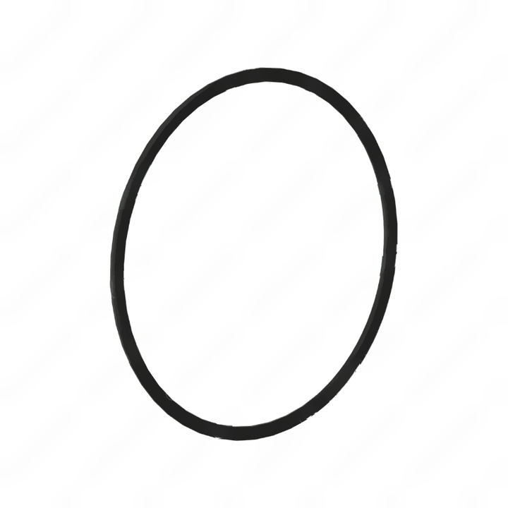 DDE A0119974445 SEAL RING