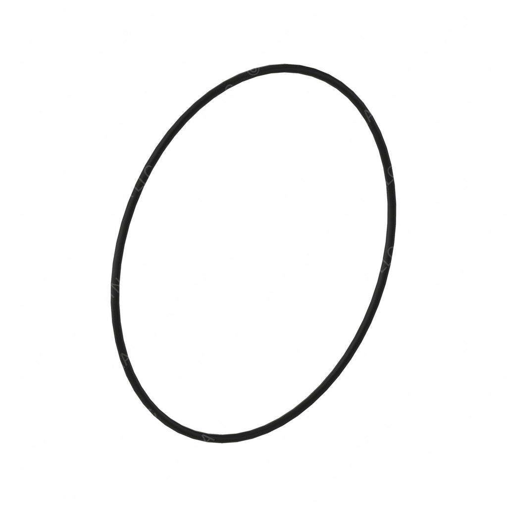 DDE A0119976245 SEAL RING