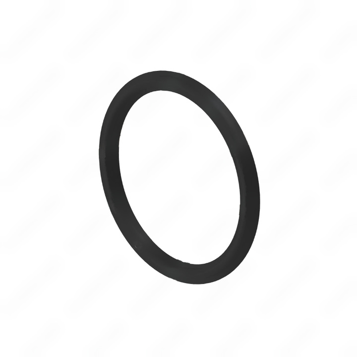 DDE A0159977648 SEAL RING