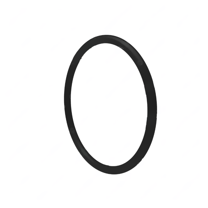 DDE A0179977345 O-RING SEAL