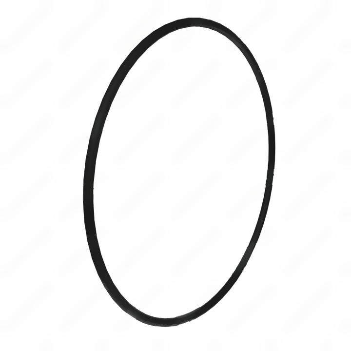 DDE A0179977445 O-RING SEAL