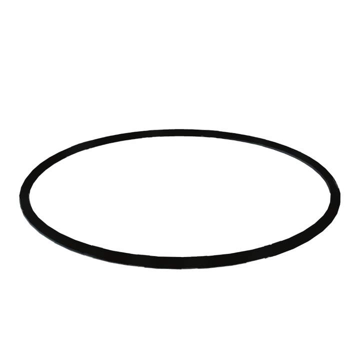 DDE A0179979445 O-RING