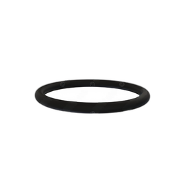 DDE A0189979245 O-RING