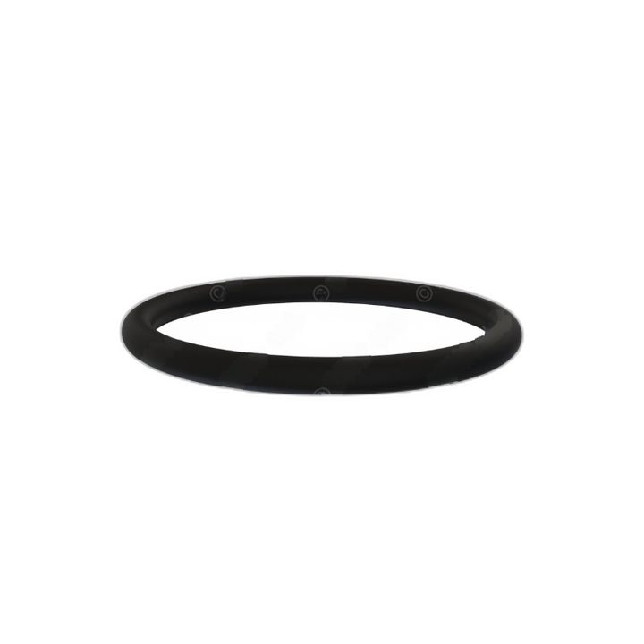 DDE A0189979245 O-RING