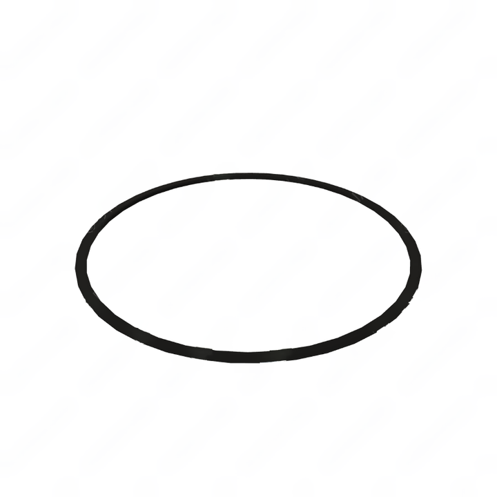 DDE A0219972545 SEAL RING