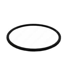 DDE A0219973345 O-RING, FUEL PRE-FILTER CAP