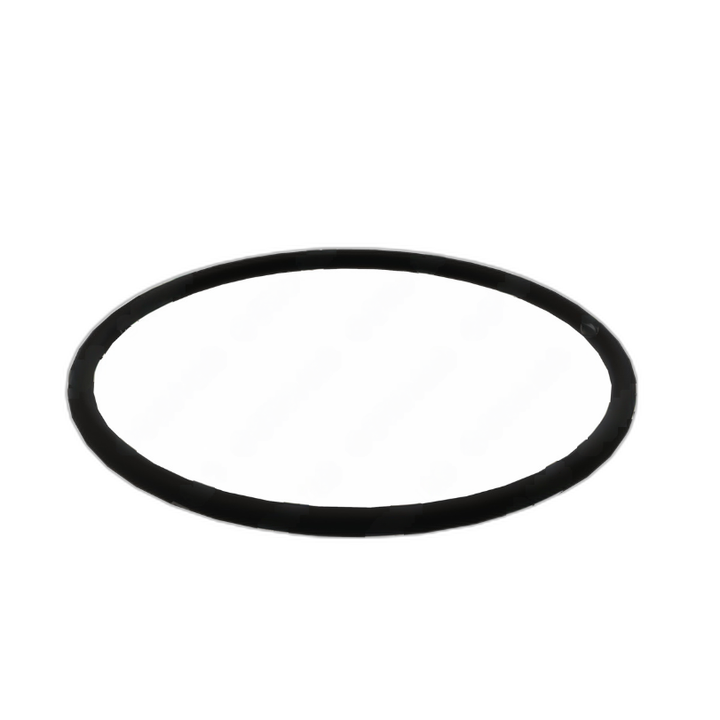 DDE A0219973345 O-RING, FUEL PRE-FILTER CAP