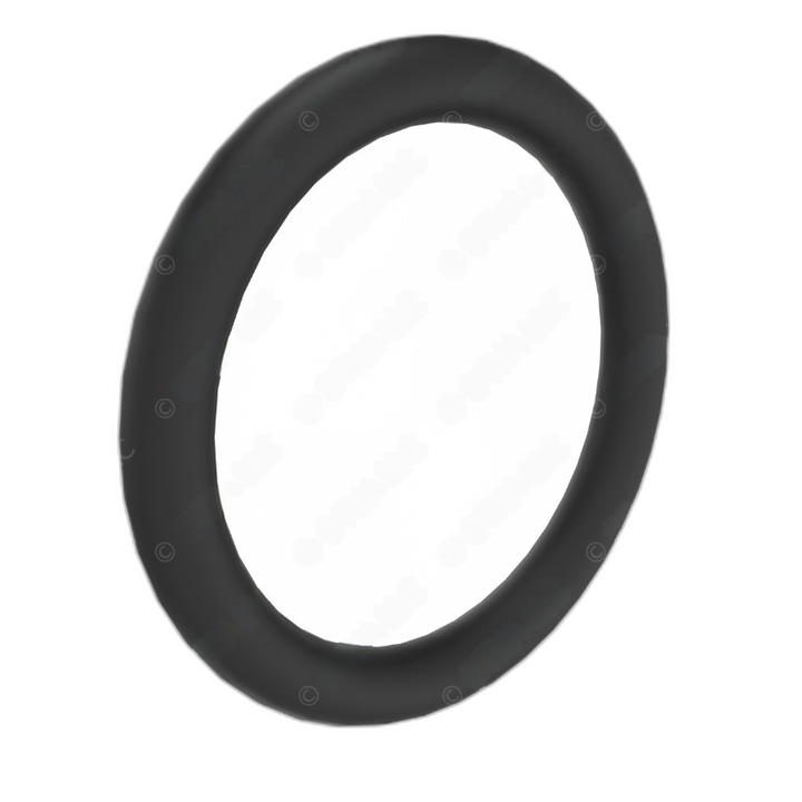 DDE A0249971648 SEAL RING