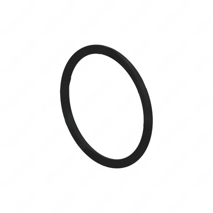 DDE A0309977645 SEALING RING
