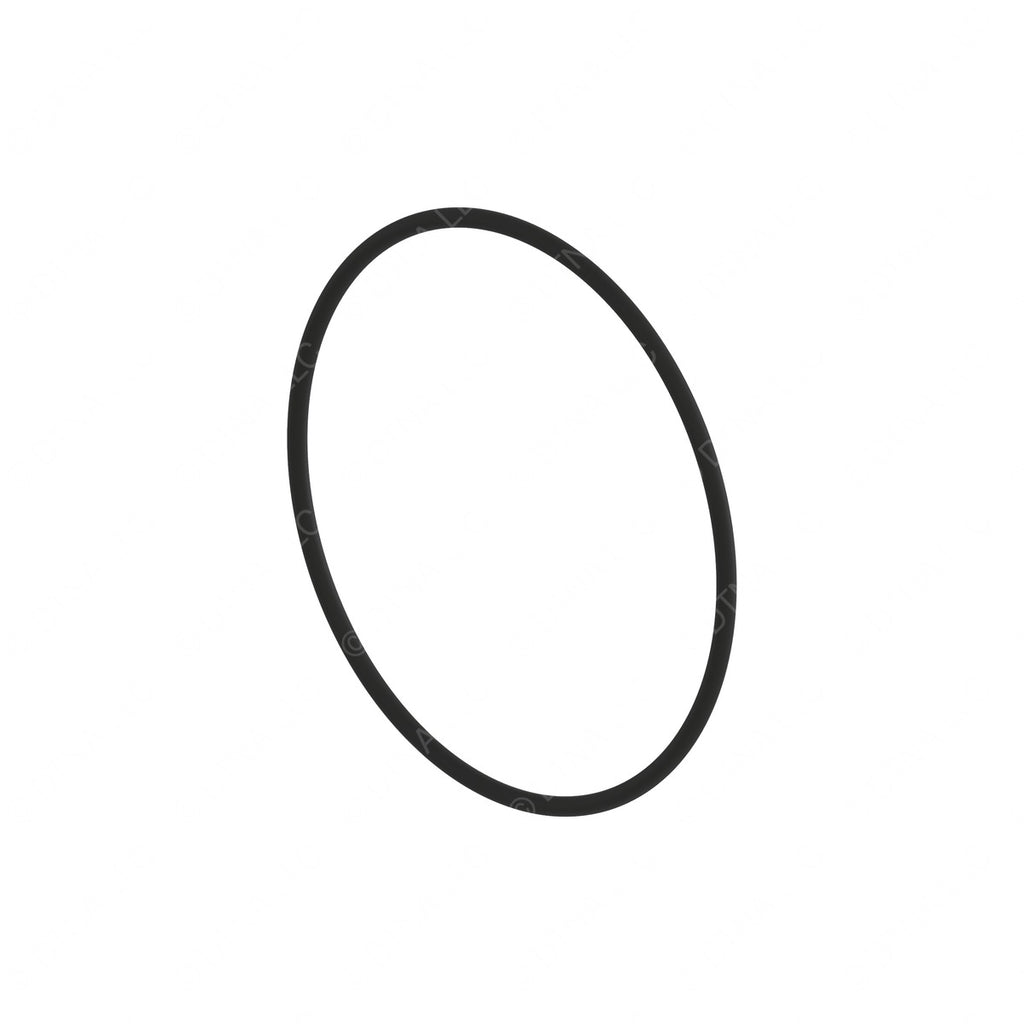 DDE A0309978945 O-RING