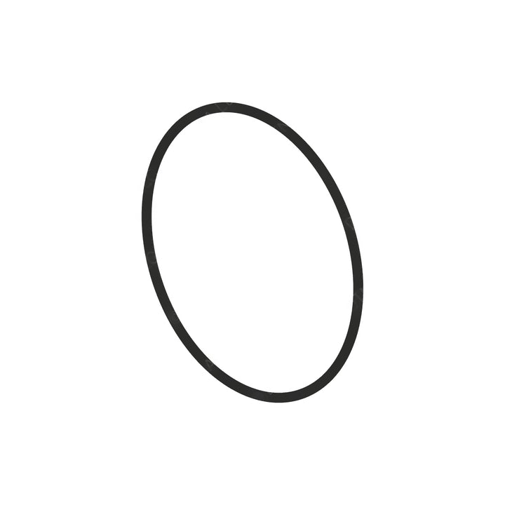 DDE A0309978945 O-RING