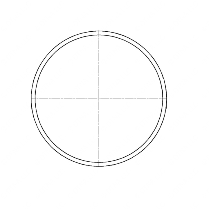 DDE A4570110559 SEAL RING