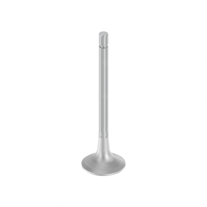 DDE A4570500527 EXHAUST VALVE