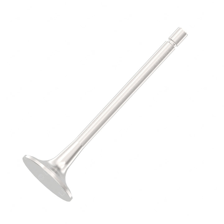 DDE A4570530001 INTAKE VALVE