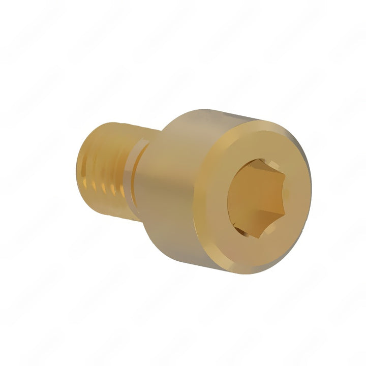 DDE A9909901912 SCREW