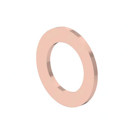 DDE N000000001067 SEALING RING, M10