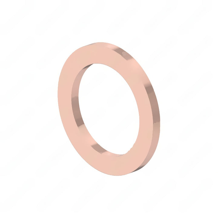 DDE N000000001069 SEALING RING, M14