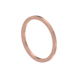 DDE N000000001103 SEALING RING, M33