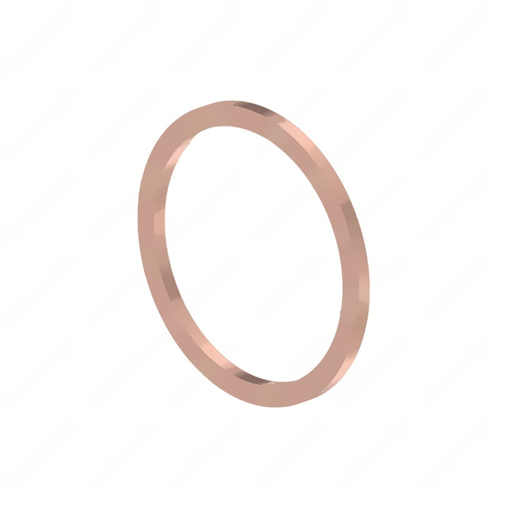DDE N000000001103 SEALING RING, M33
