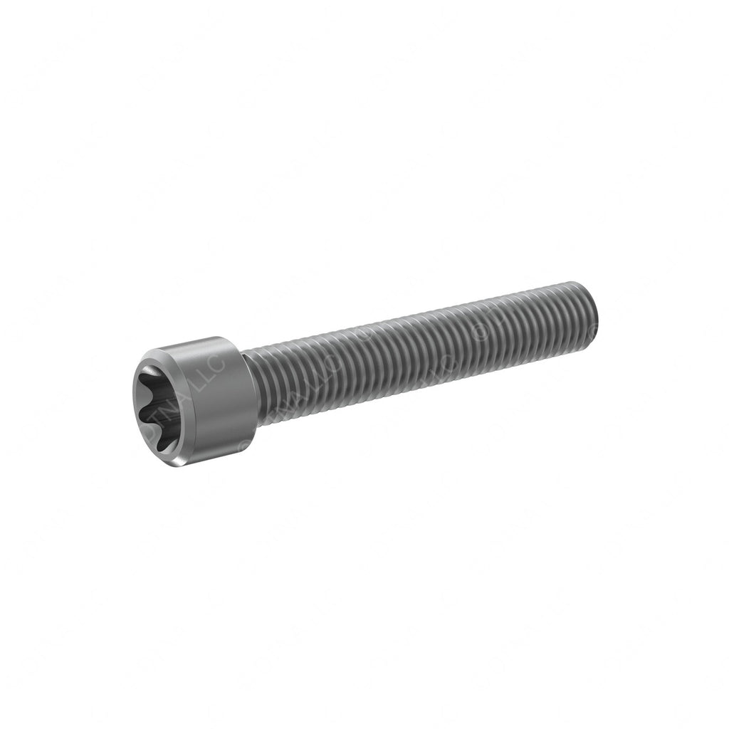 DDE N000000001996 SCREW