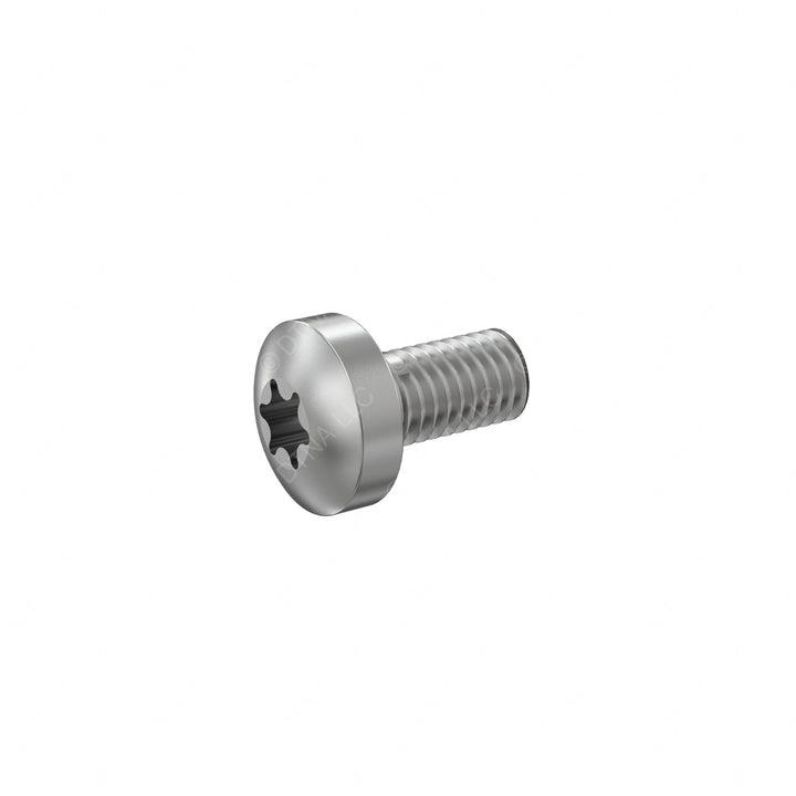 DDE N000000003120 SCREW