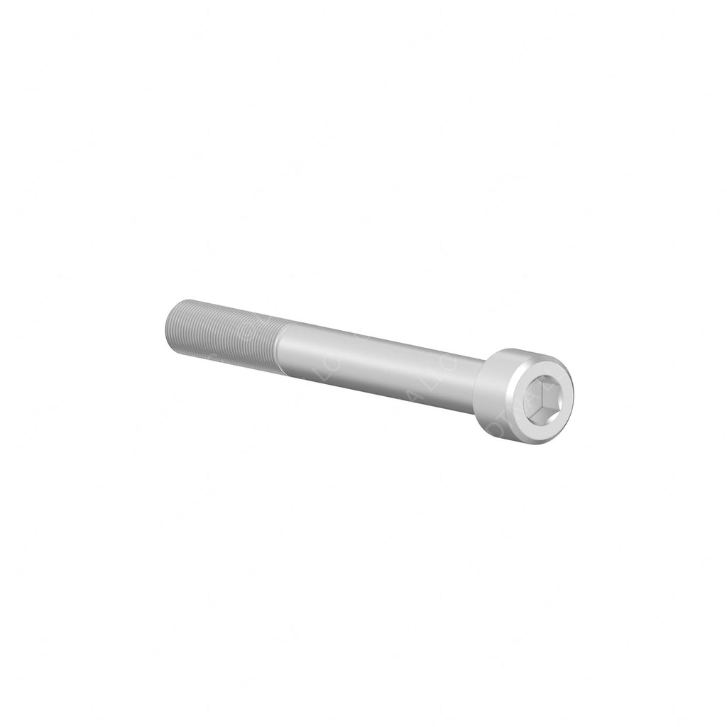 DDE N000912010215 SCREW M10X90