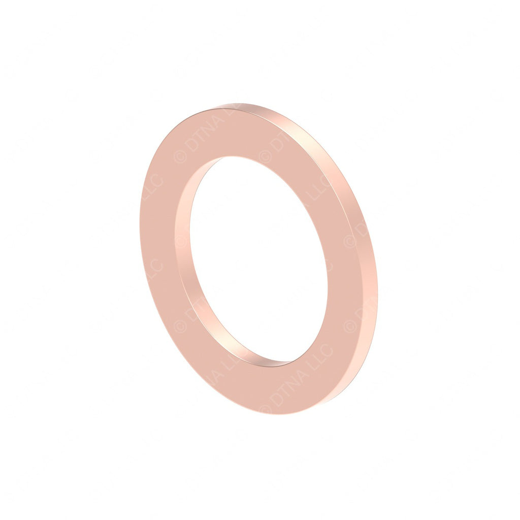 DDE N007603010406 SEAL RING