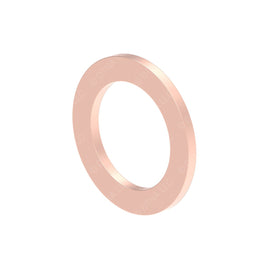 DDE N007603010406 SEAL RING