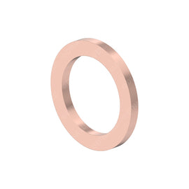 DDE N007603012110 SEAL RING