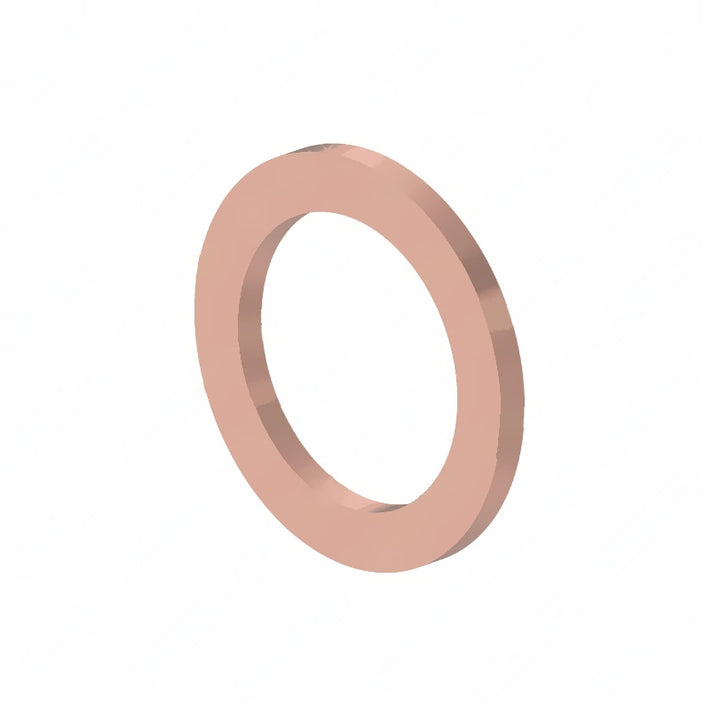 DDE N007603014106 SEAL RING
