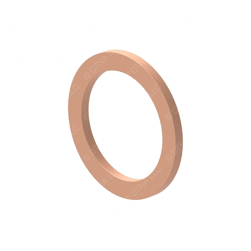 DDE N007603017101 SEAL RING