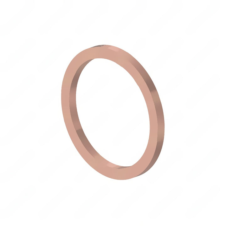DDE N007603018101 SEALING RING - GENERAL PURPOSE