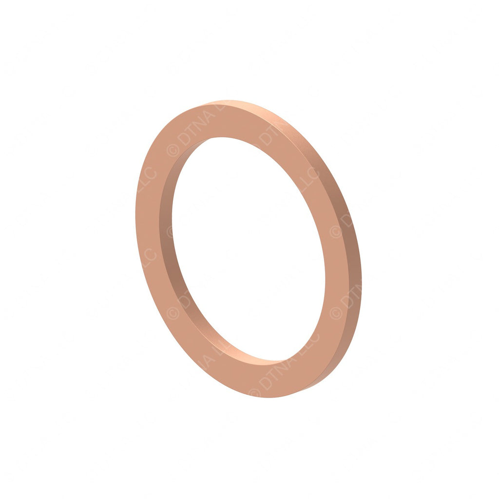 DDE N007603026109 SEAL RING