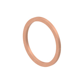 DDE N007603030101 SEAL RING