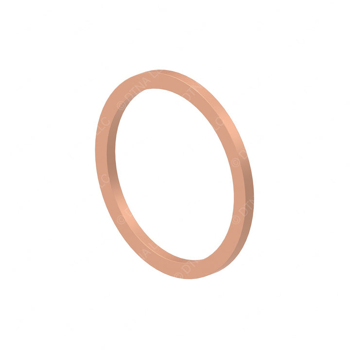DDE N007603030101 SEAL RING