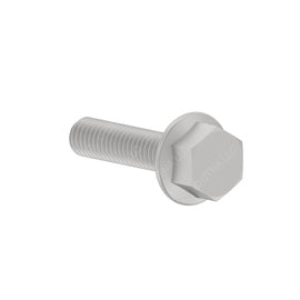 DDE N910105006019 SCREW