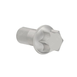 DDE N910142010001 SCREW